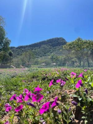Posada San Miguel Paraguari Ngoại thất bức ảnh